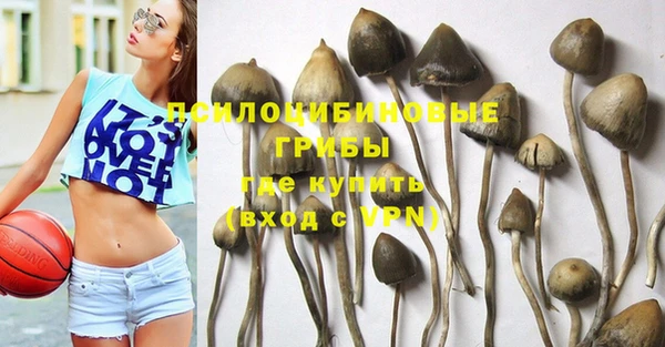 apvp Кинешма