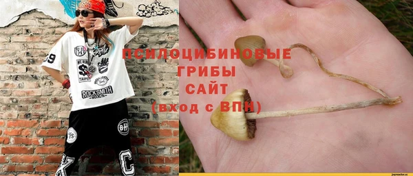 apvp Кинешма